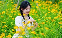 女人公敌完整版百度影音